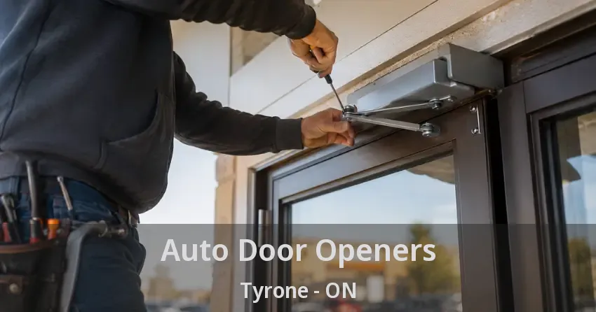 Auto Door Openers Tyrone - ON