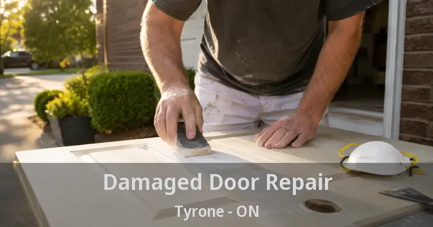Damaged Door Repair Tyrone - ON