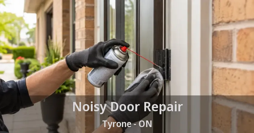 Noisy Door Repair Tyrone - ON