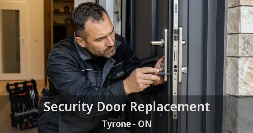 Security Door Replacement Tyrone - ON