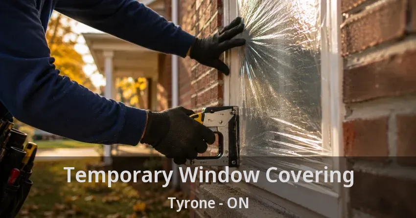 Temporary Window Covering Tyrone - ON
