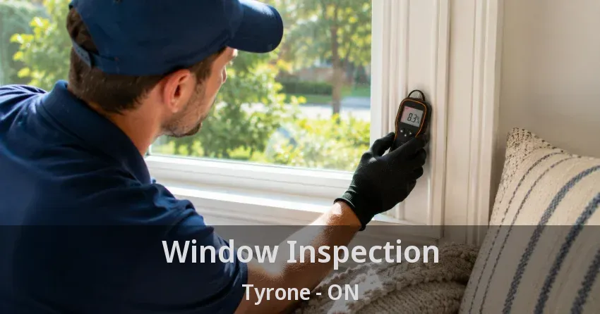Window Inspection Tyrone - ON