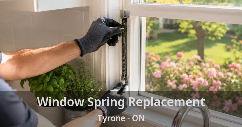 Window Spring Replacement Tyrone - ON